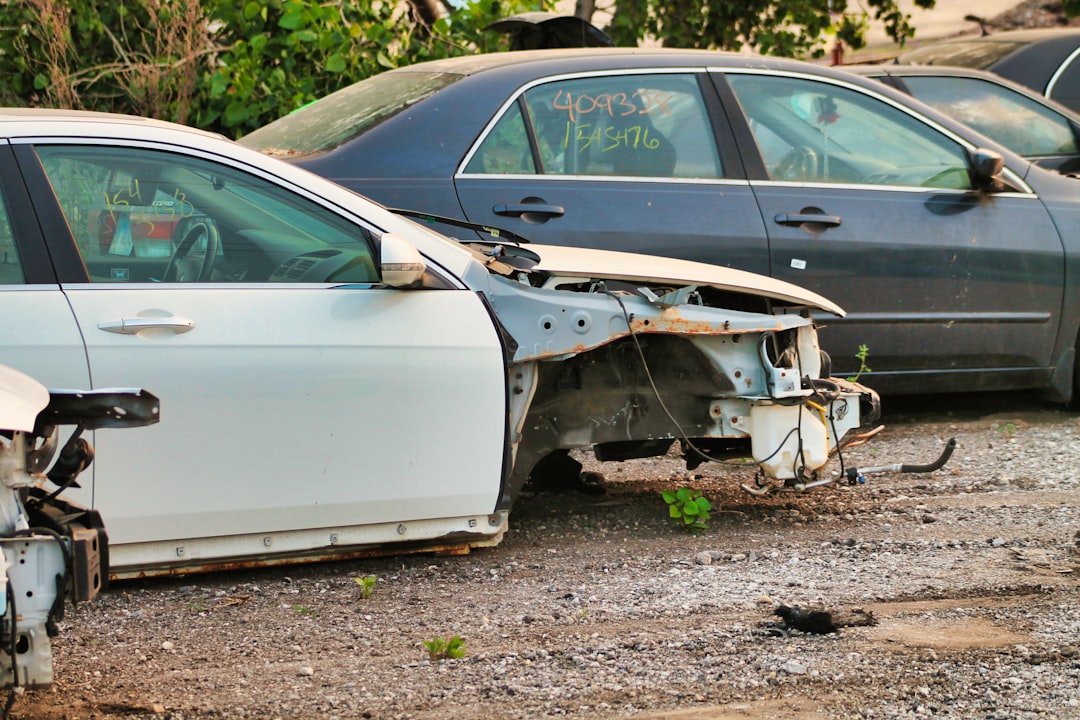 Car Insurance Options Explained: Coverage Types, Pricing & Comparisons