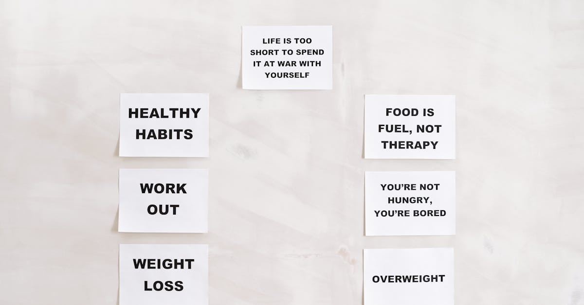 Healthy Lifestyle Overview: Nutrition, Habits & Daily Routines