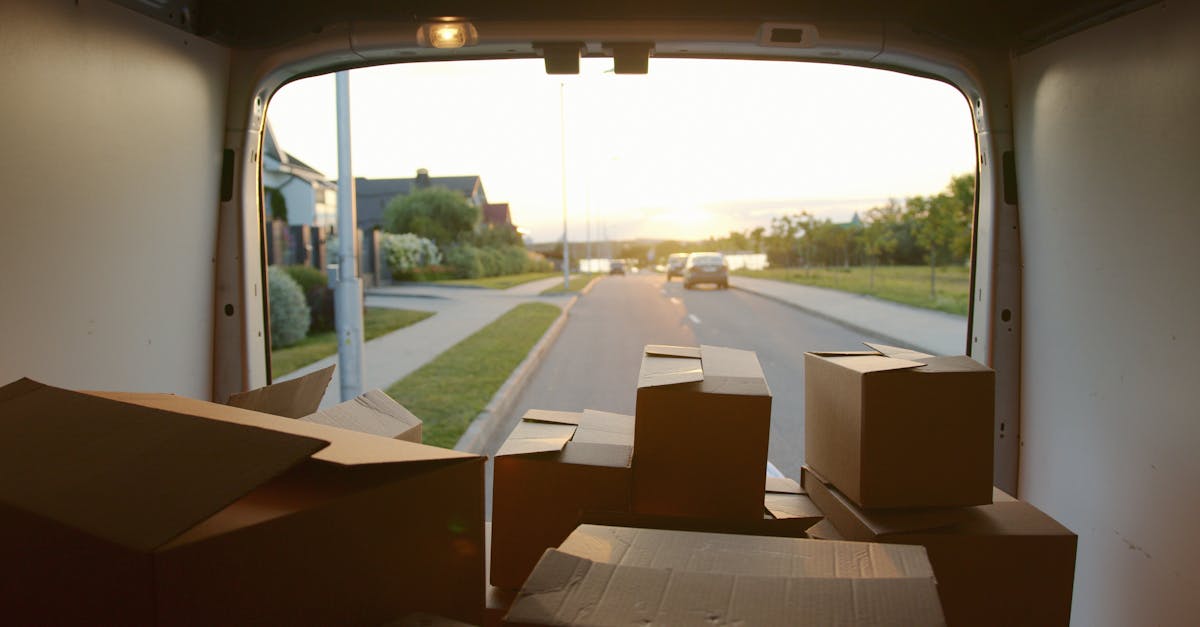 The Professional Moving Guide